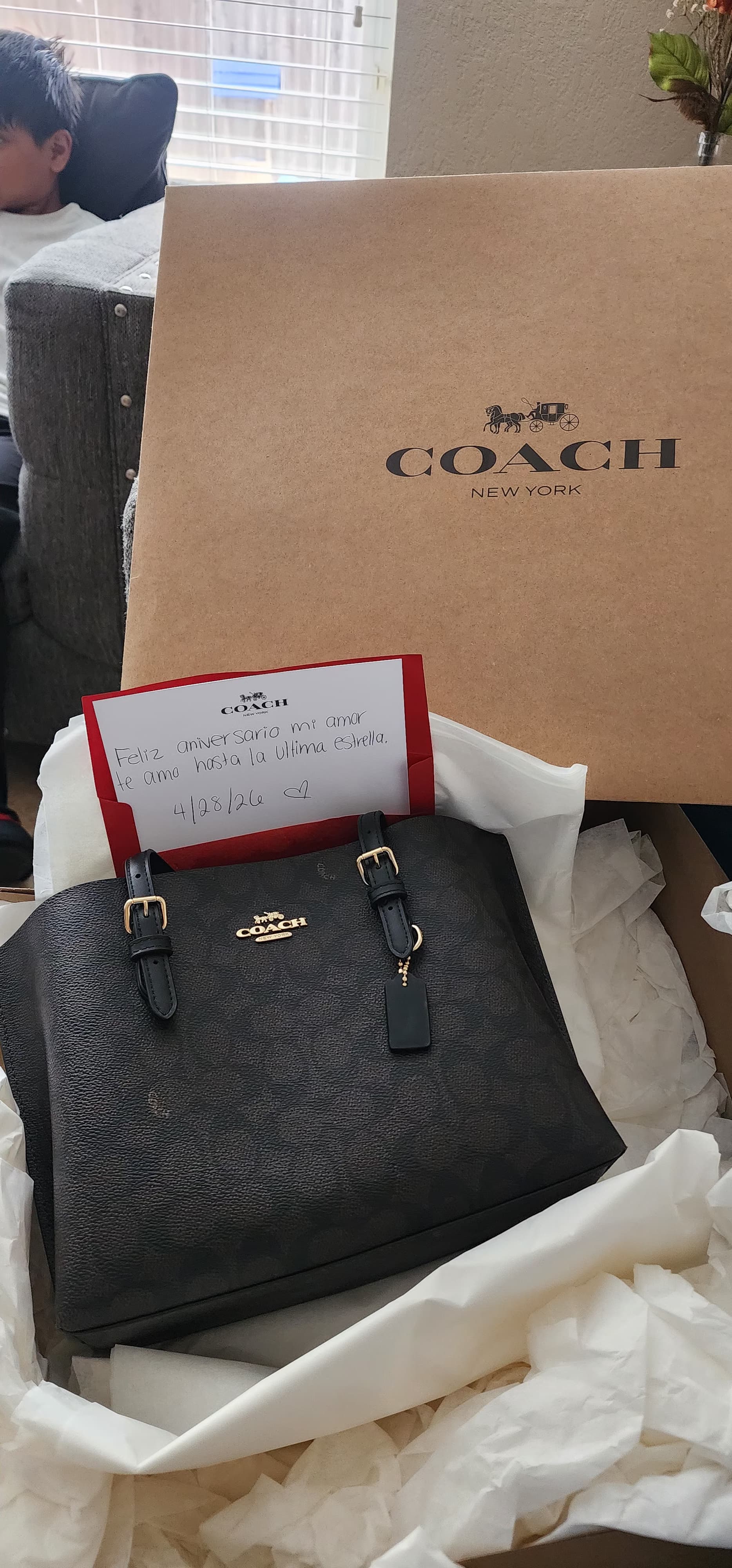 Mollie Tote Bag 25 | Bags | Coach | COACH®