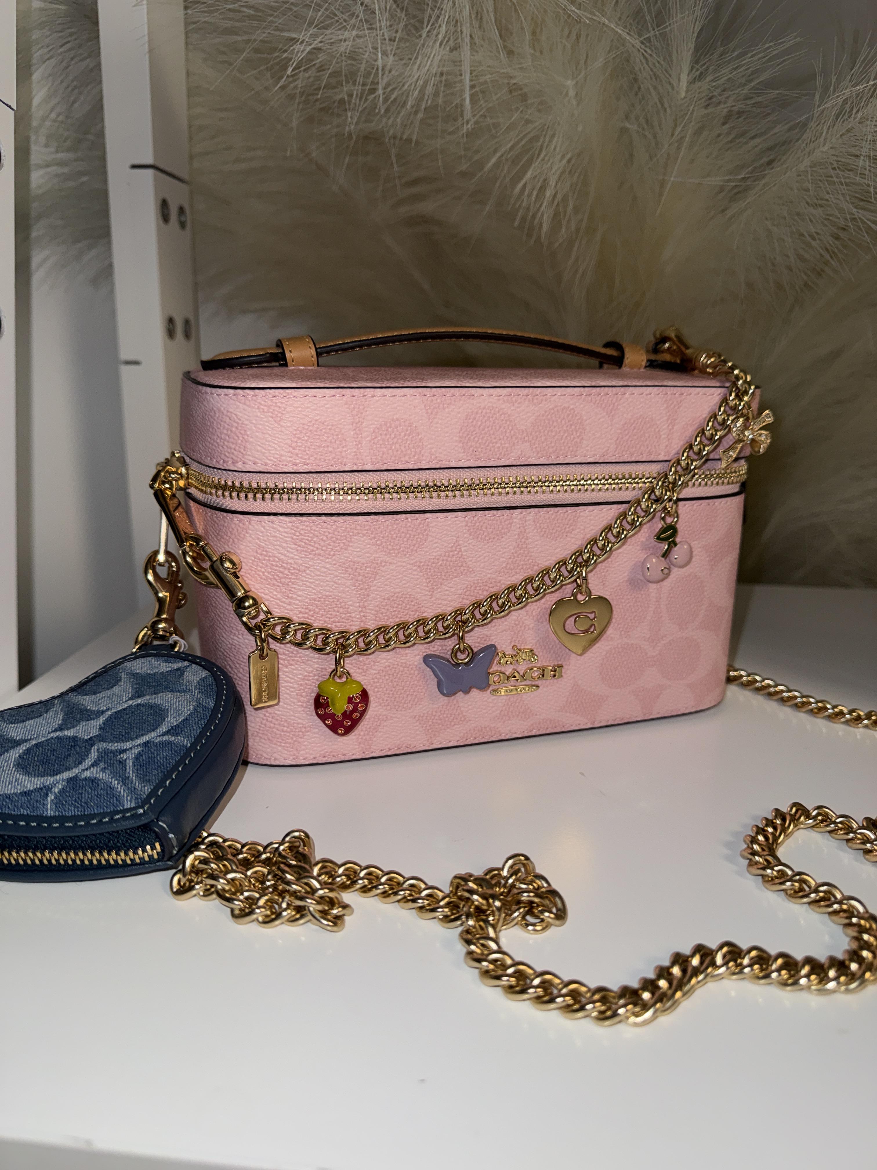 COACH Signature Pouch Pink 化粧ポーチ　小物入れ What's in my Coach mini cosmetic pouch? #asmr #pinkfordjking New