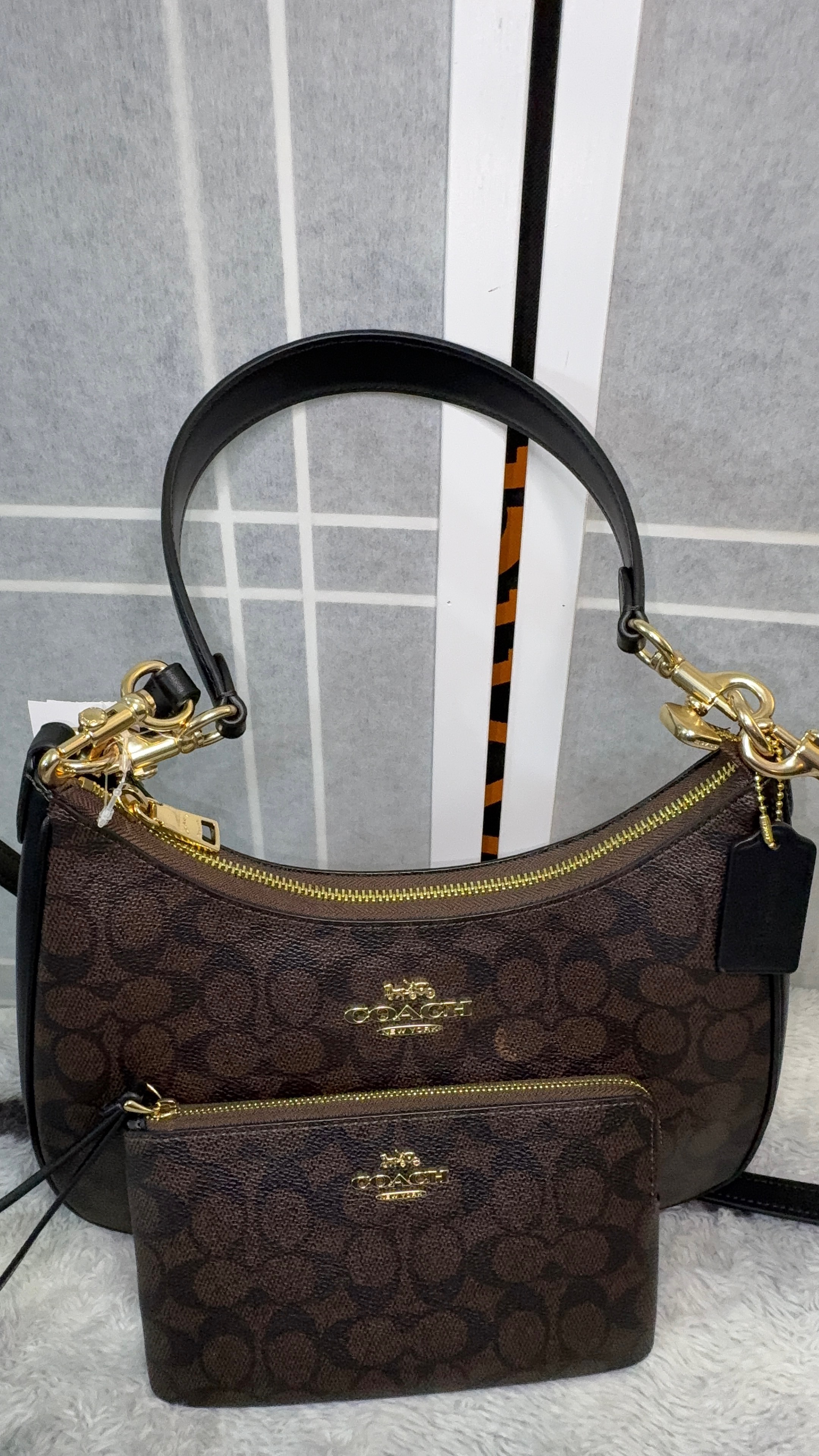 Teri Hobo Bag In Signature Canvas With Stripe | COACH®