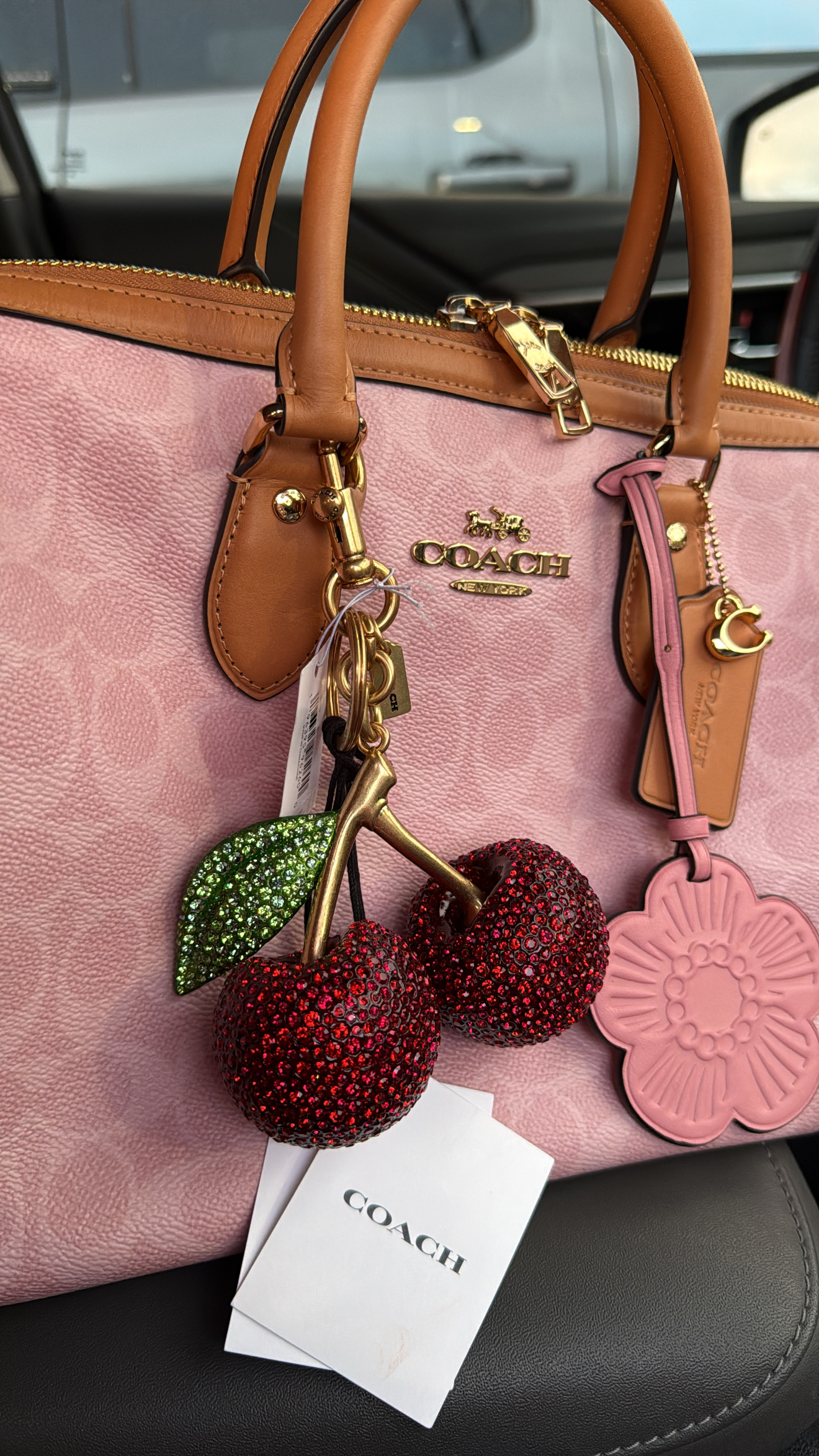 Large Crystal Cherry Bag Charm | Accessories | Coach | COACH®