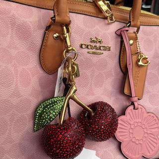 Large Crystal Cherry Bag Charm | Accessories | Coach | COACH®