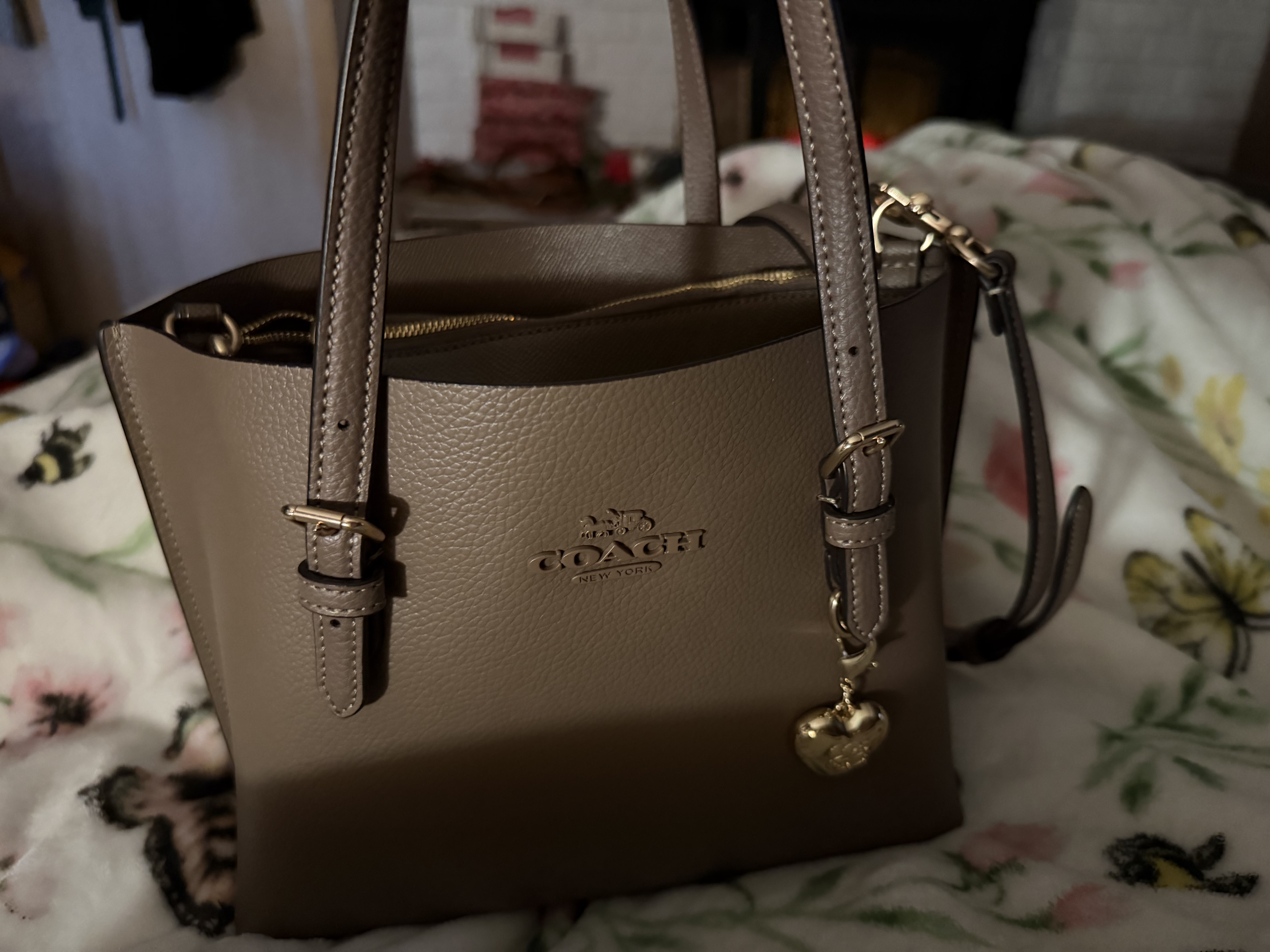 Mollie Tote Bag 25 | Bags | Coach | COACH®