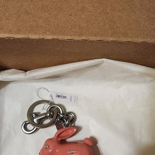 Bunny Bag Charm | Accessories | Coach | COACH®