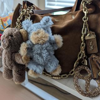 Teddy Bear Bag Charm In Shearling | COACH®