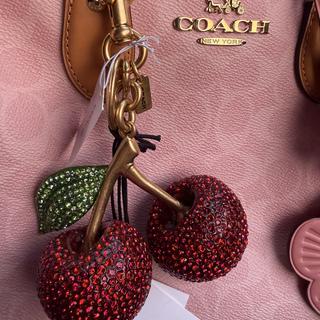 Large Crystal Cherry Bag Charm | Accessories | Coach | COACH®