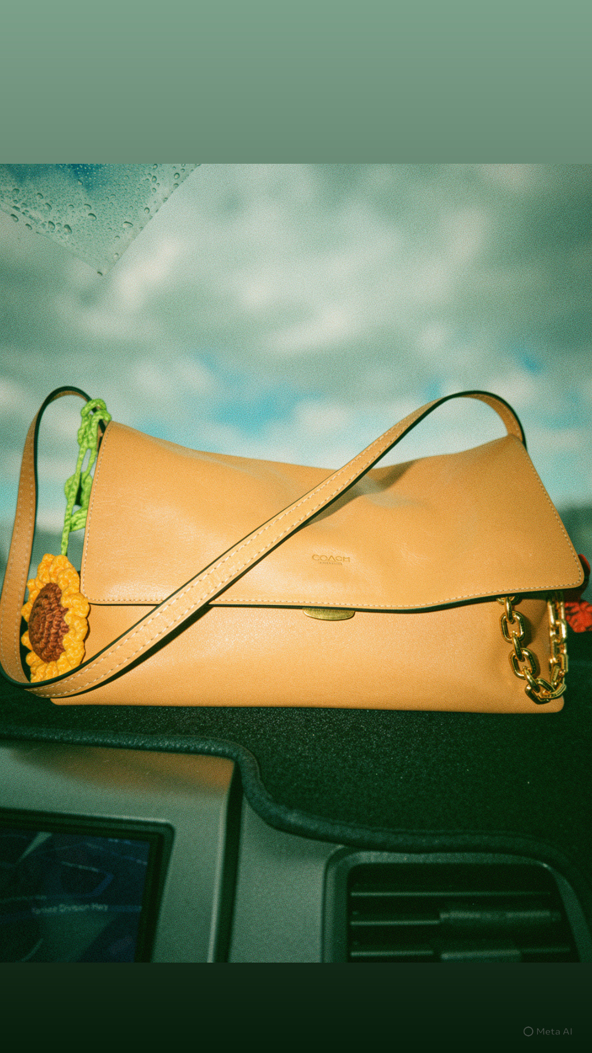Chelsea Shoulder Bag 30 | Bags | Coach | COACH®