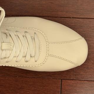 Soft Sneaker In Signature Jacquard | Other Shoes | Coach | COACH®