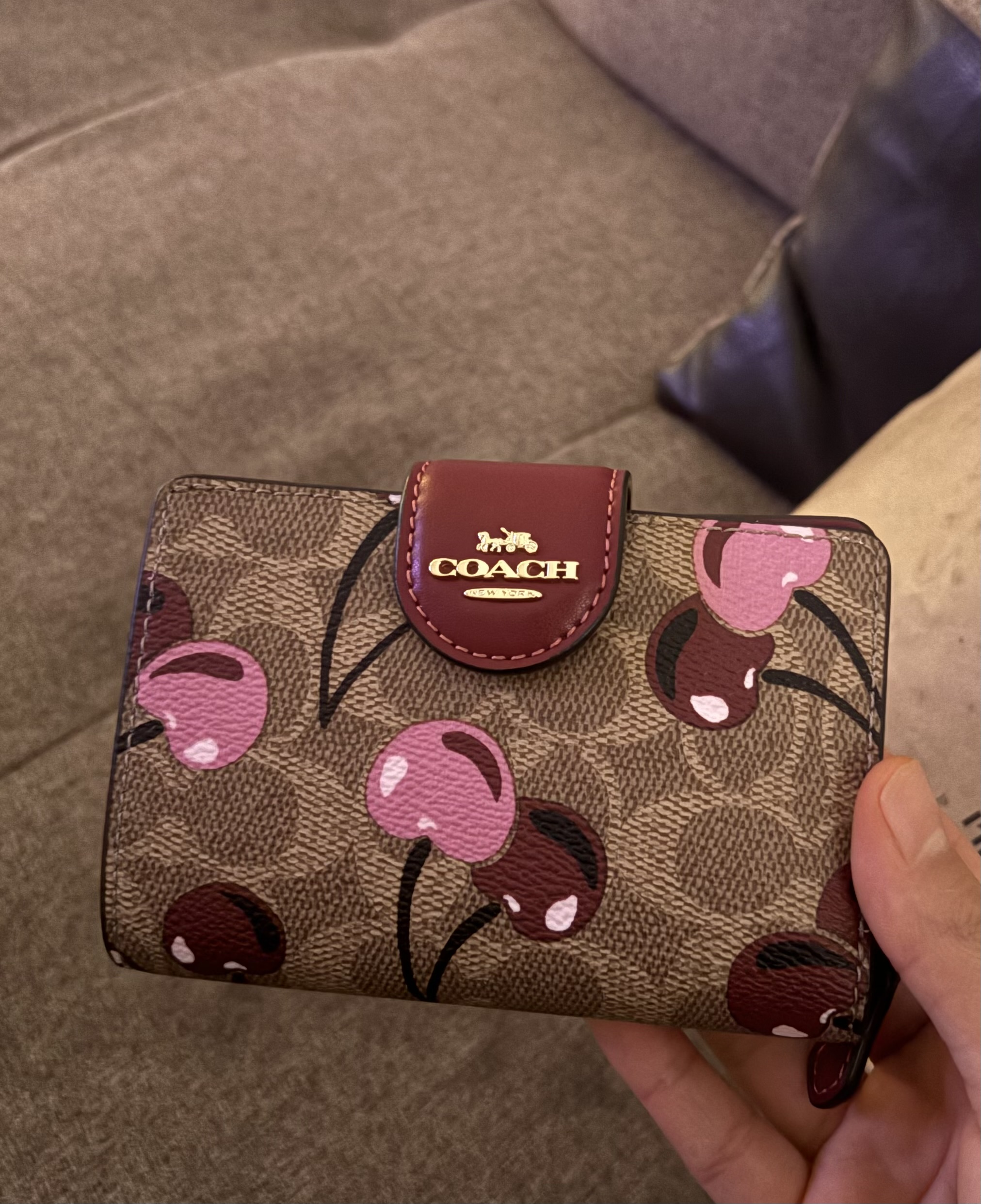 Medium Corner Zip Wallet In Signature Leather | COACH®
