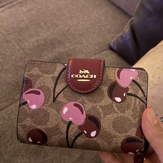 【中古】 貧血と花と爆弾 Medium Corner Zip Wallet With Bunny Script Print | COACH®