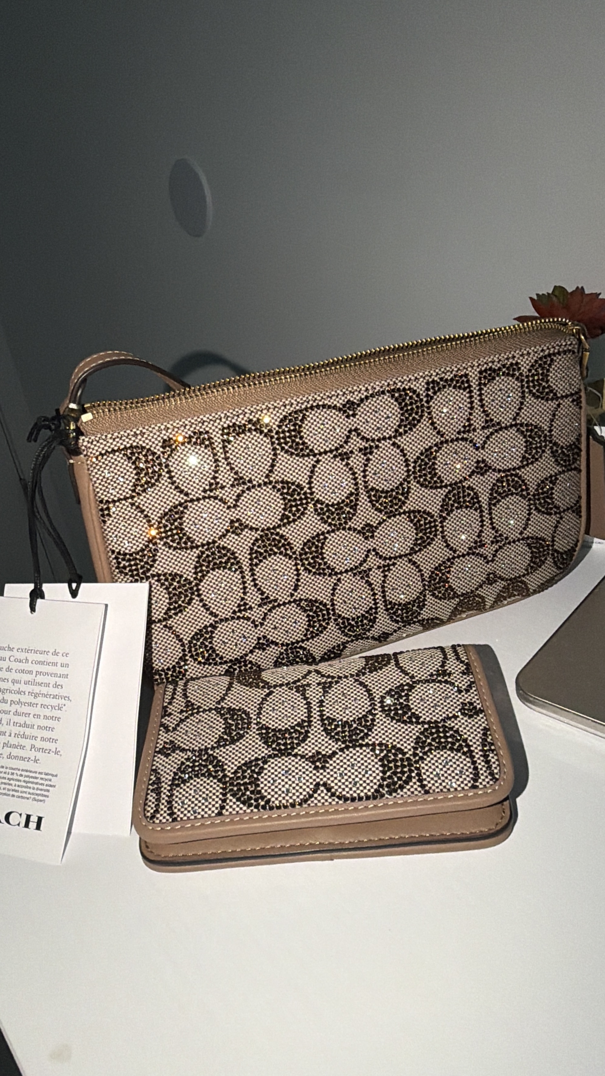 Plaza Bag In Crystal Signature Jacquard | Wristlets | Coach | COACH®