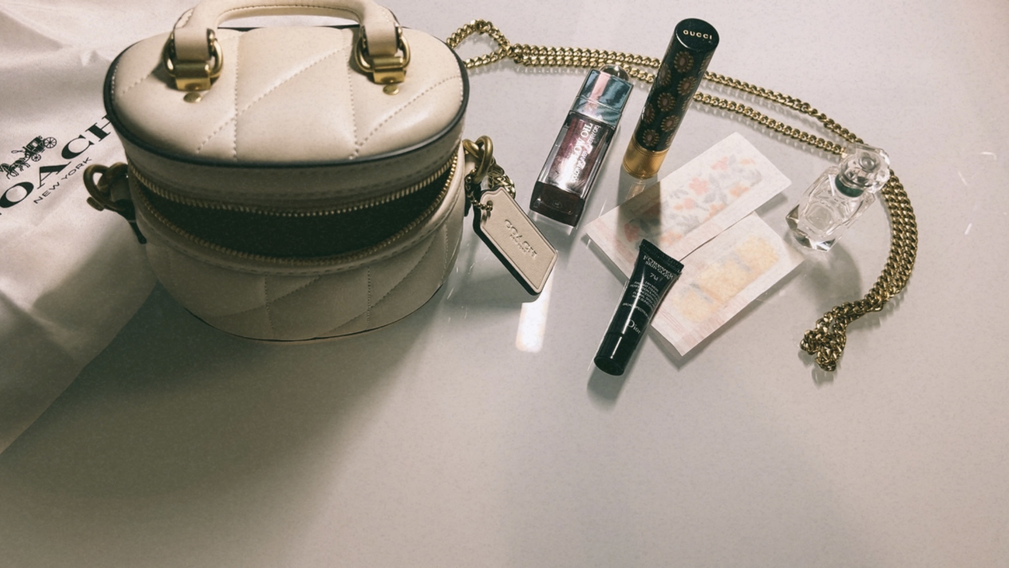 Trail Crossbody Bag 12 With Pillow Quilting | COACH®