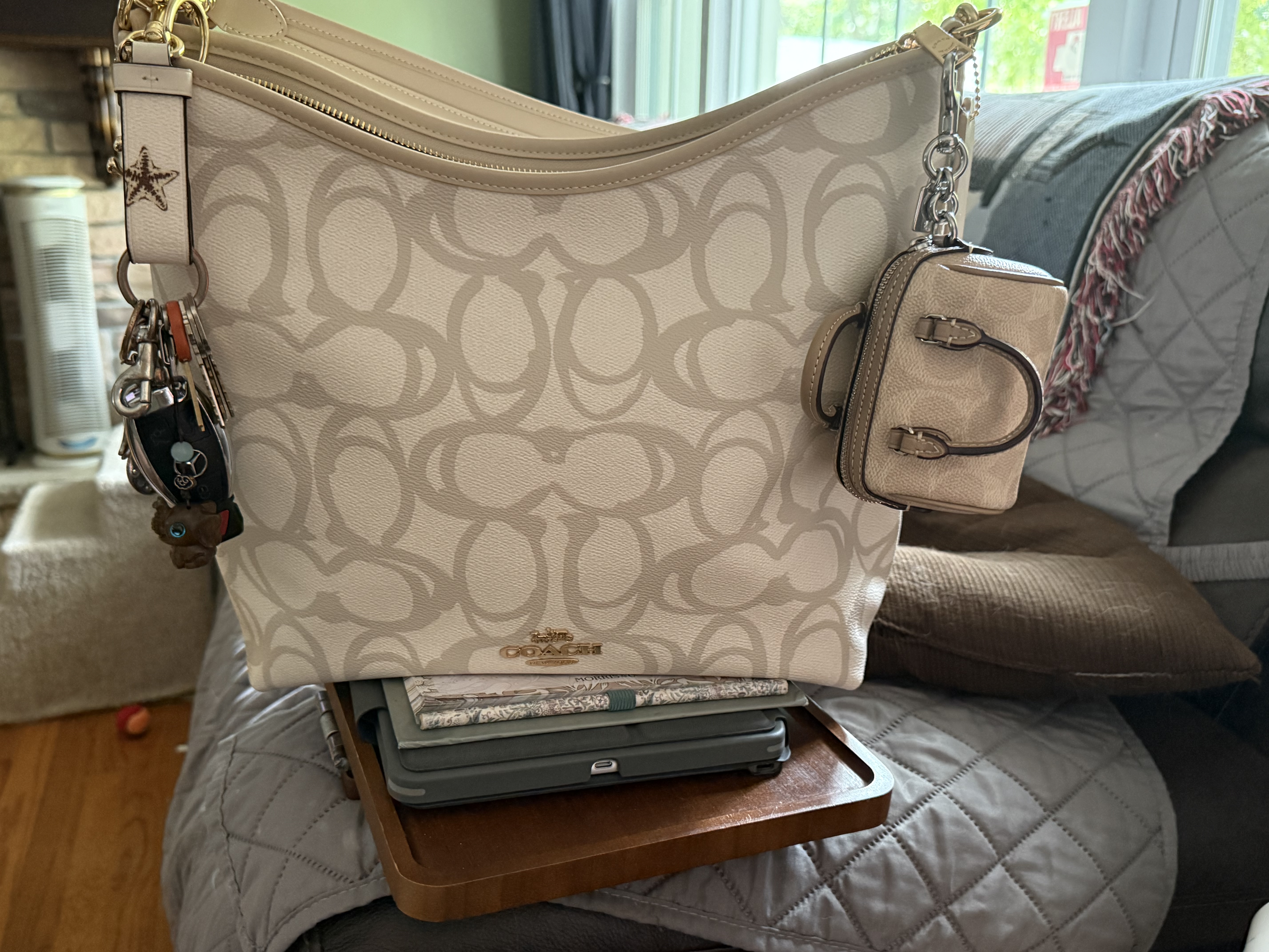 Mollie Tote Bag 25 In Signature Canvas | Bags | Coach | COACH®