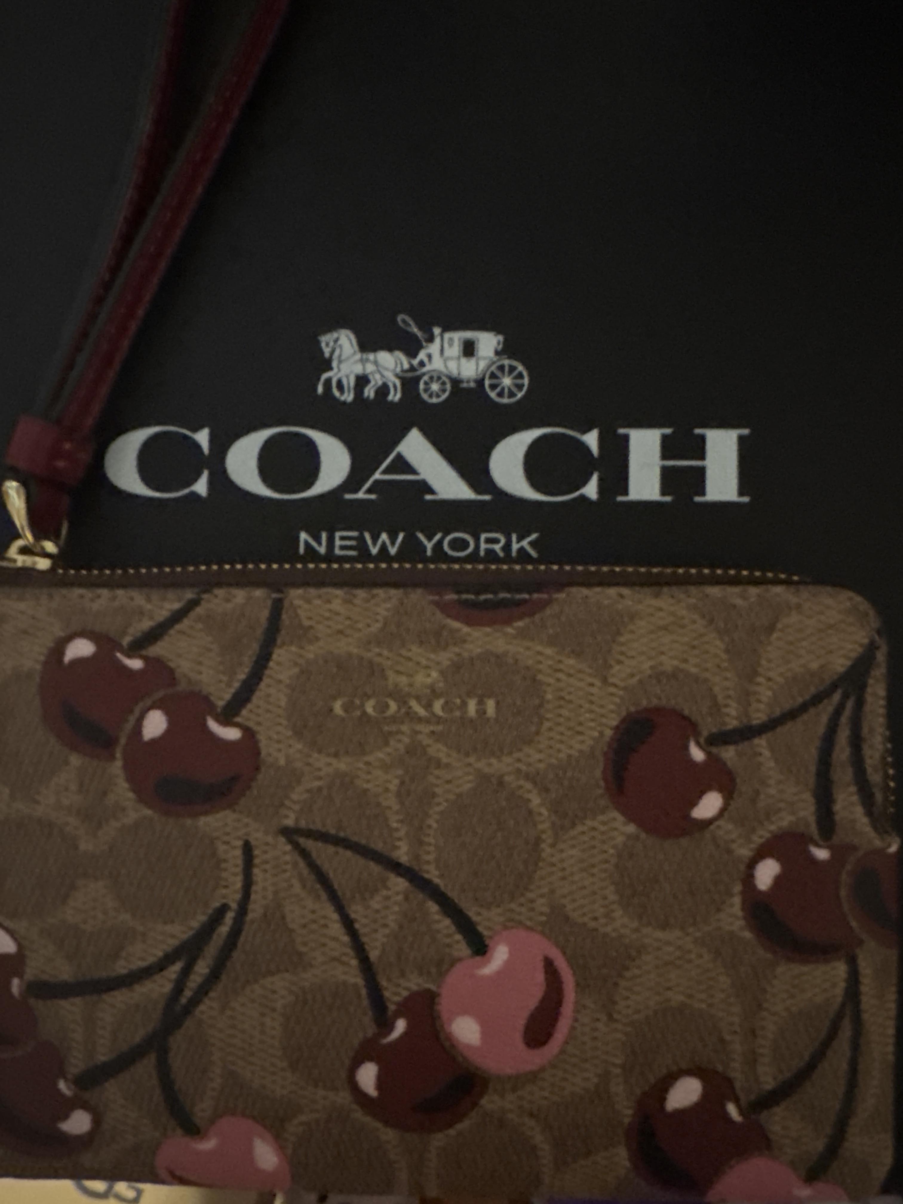 Corner Zip Wristlet In Signature Canvas With Rexy By Guang Yu | COACH®