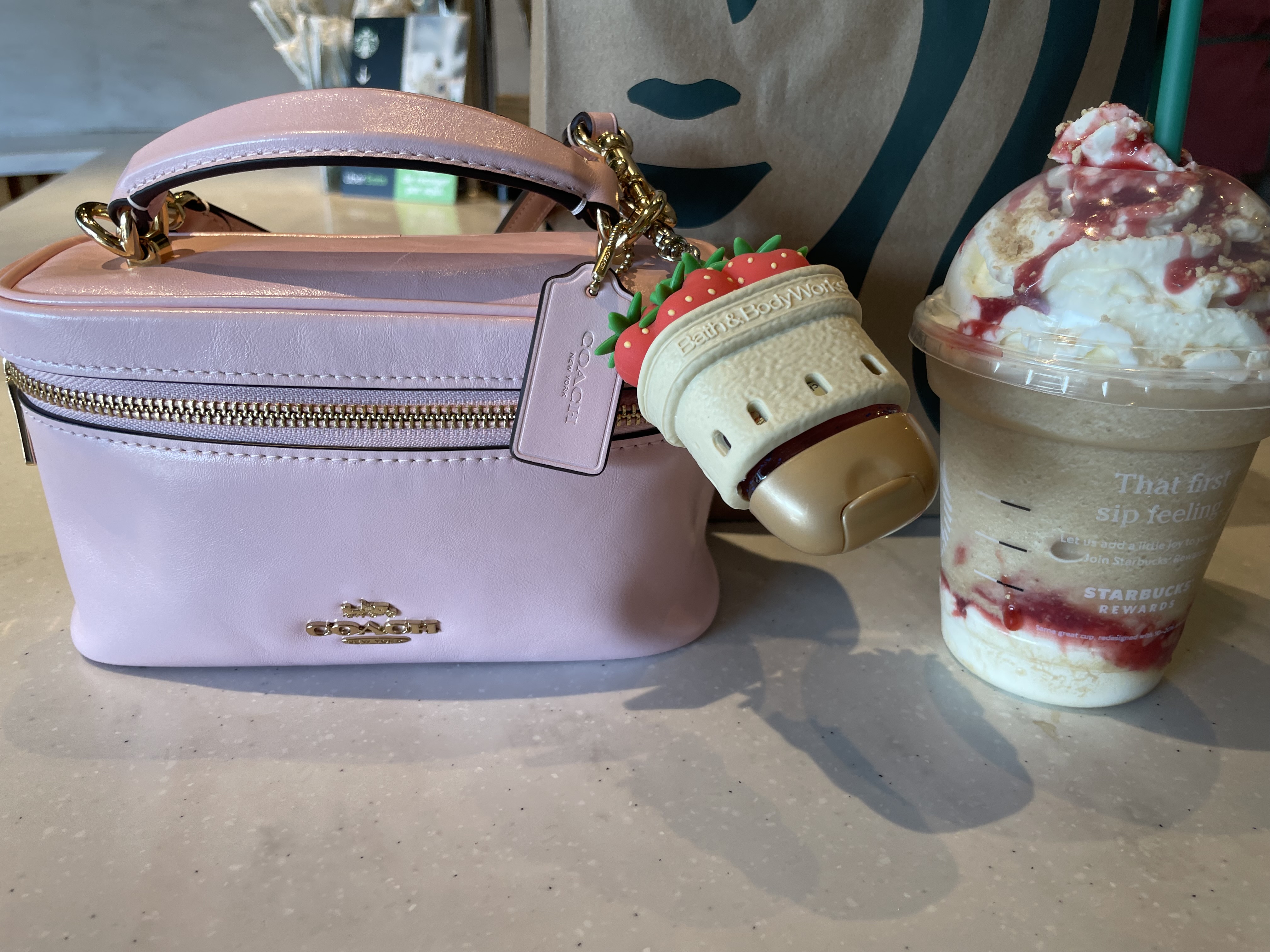 Rainer Crossbody Bag 18 In Signature Canvas | COACH®