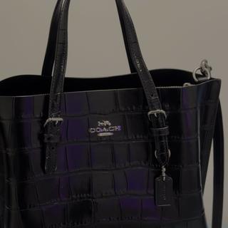 Mollie Tote Bag 25 In Signature Canvas | COACH®
