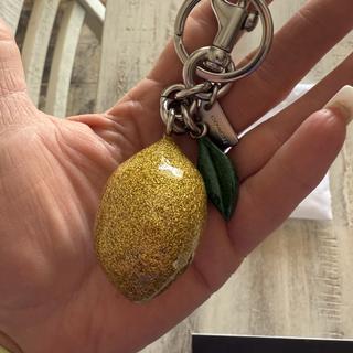 76400d3c4679edc112b4fe473ed7d7  🍋🔹️Coach 🔹️Trigger Snap Yellow Lemon Keychain Bag Charm with Silver Accents main image 0