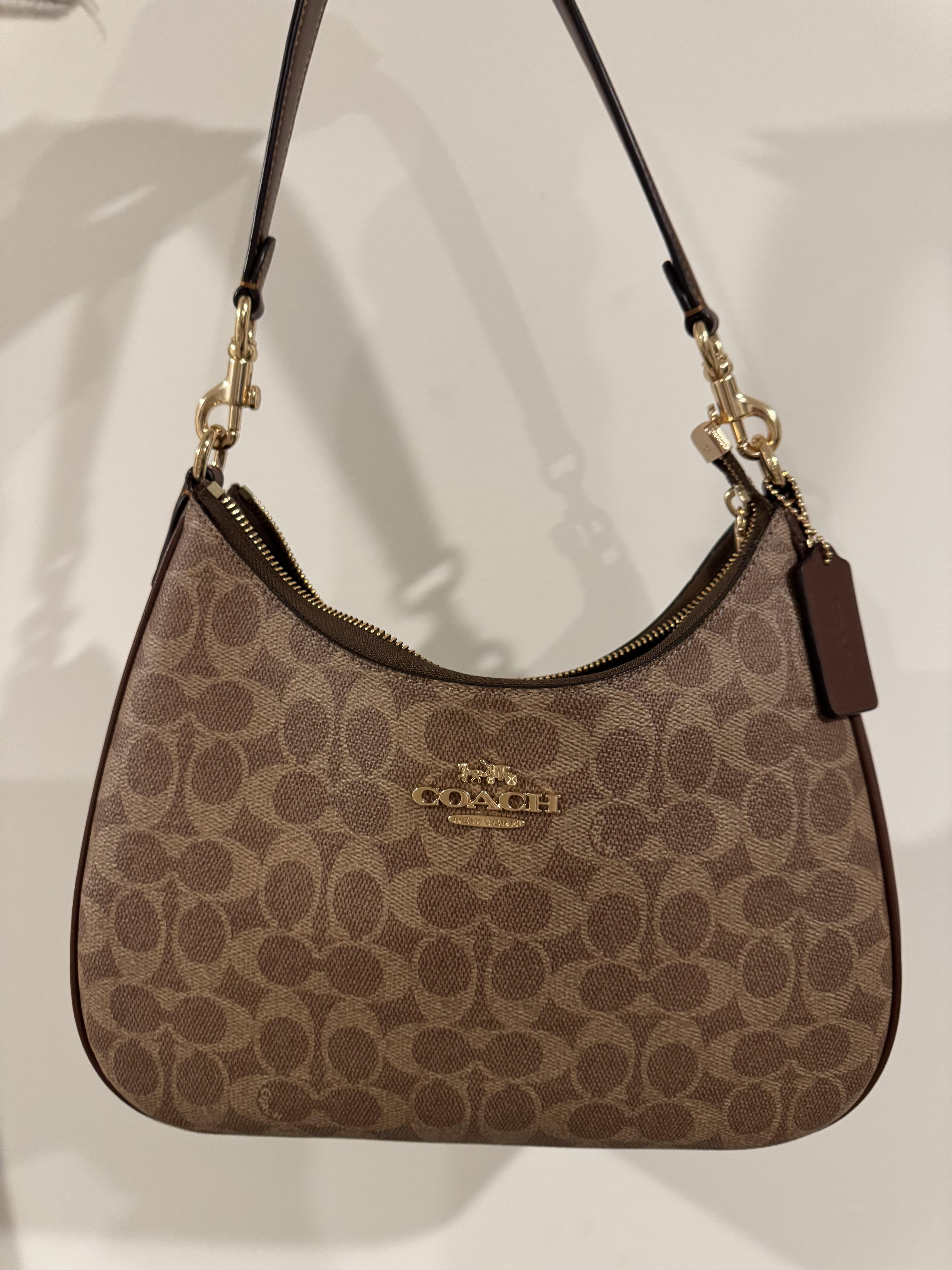 Teri Hobo Bag In Signature Canvas | Bags | Coach | COACH®