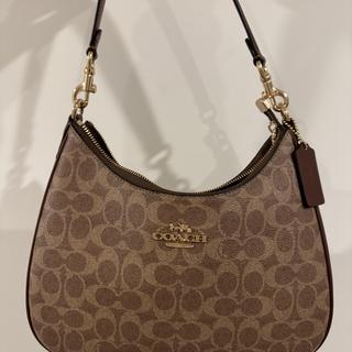 Teri Hobo Bag | Bags | Coach | COACH®