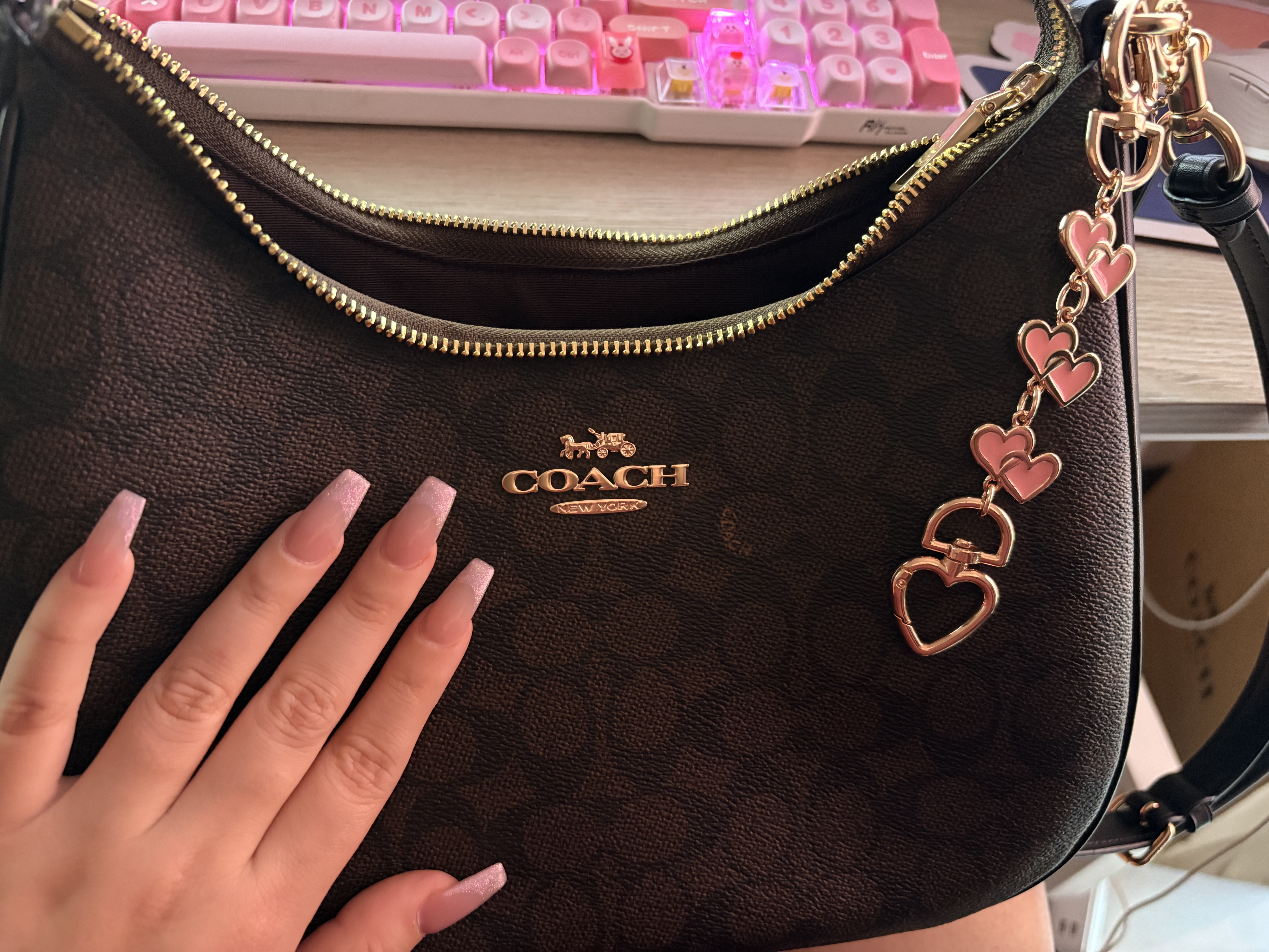 Teri Hobo Bag In Signature Canvas | Bags | Coach | COACH®