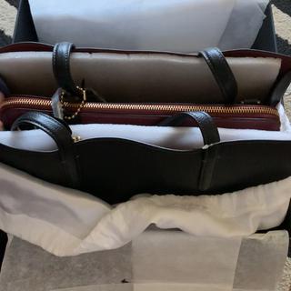 Carter Carryall Bag | COACH®