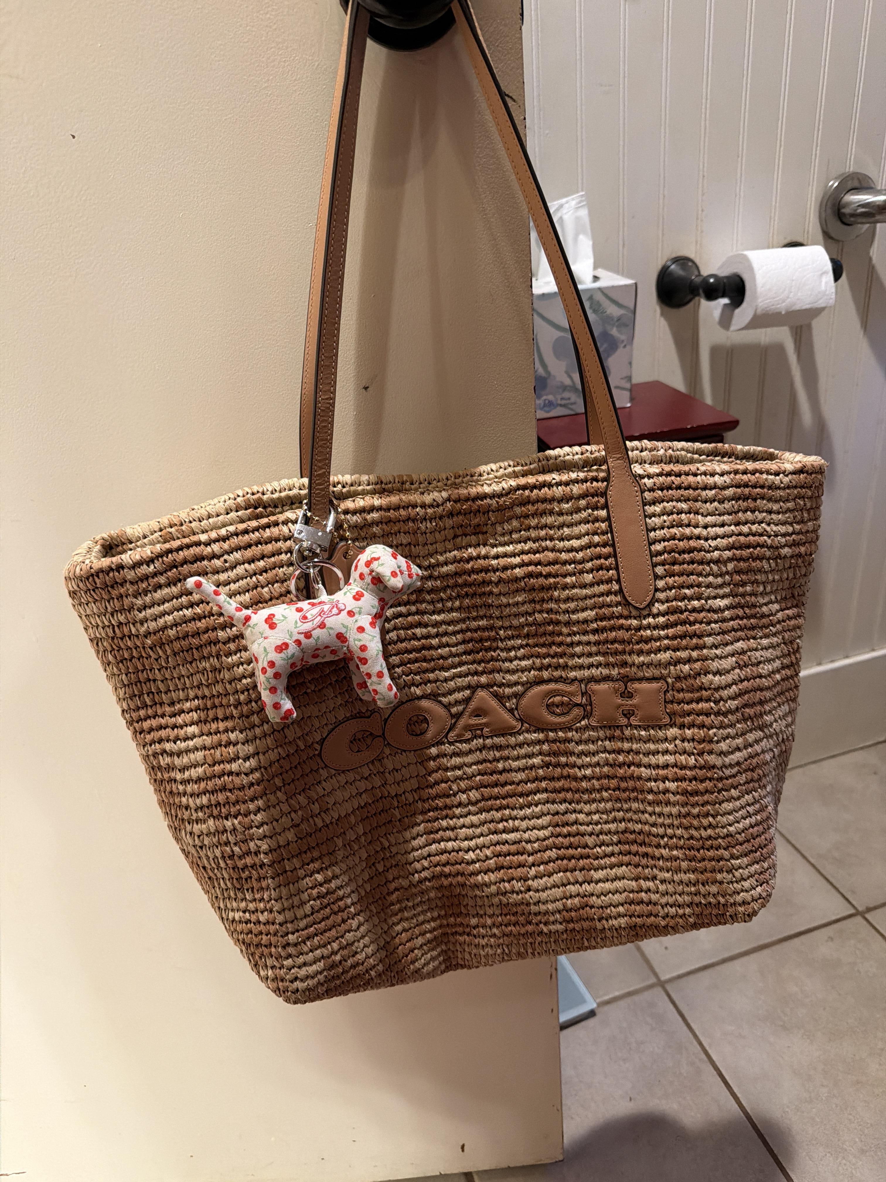 Custom City Zip Tote Bag With Horse And Carriage | COACH®