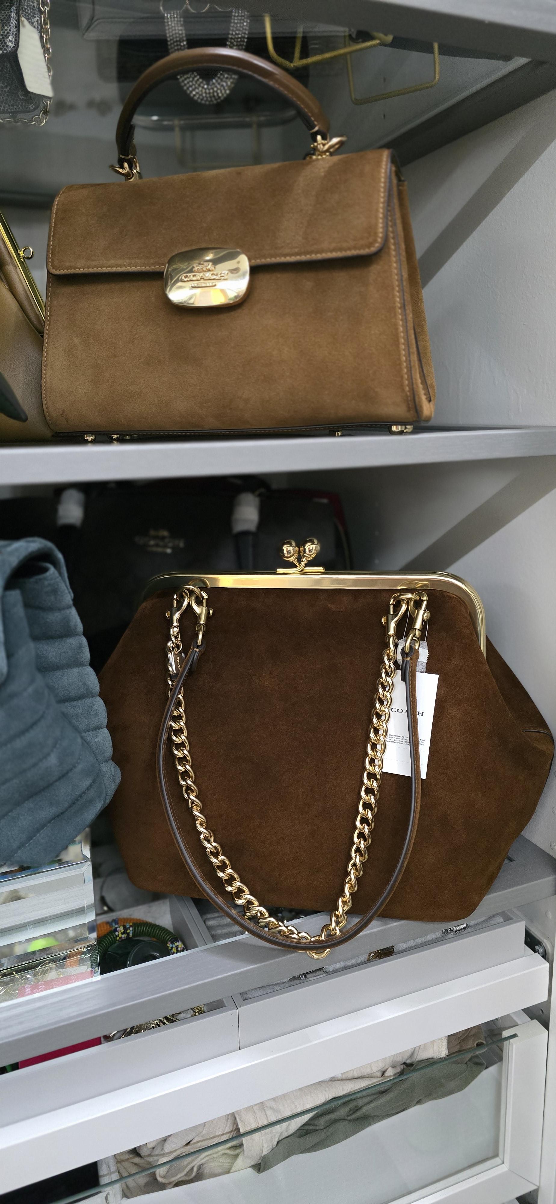 Kisslock Frame Bag 27 | COACH®