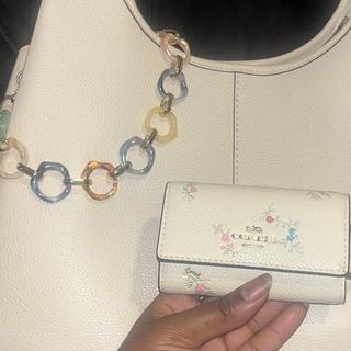 Six Ring Key Case With Ladybug Floral Print | COACH®