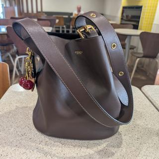 Bleecker Bucket Bag With Kisslock | COACH®