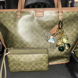 Rexy Bag Charm | Accessories | Coach | COACH®