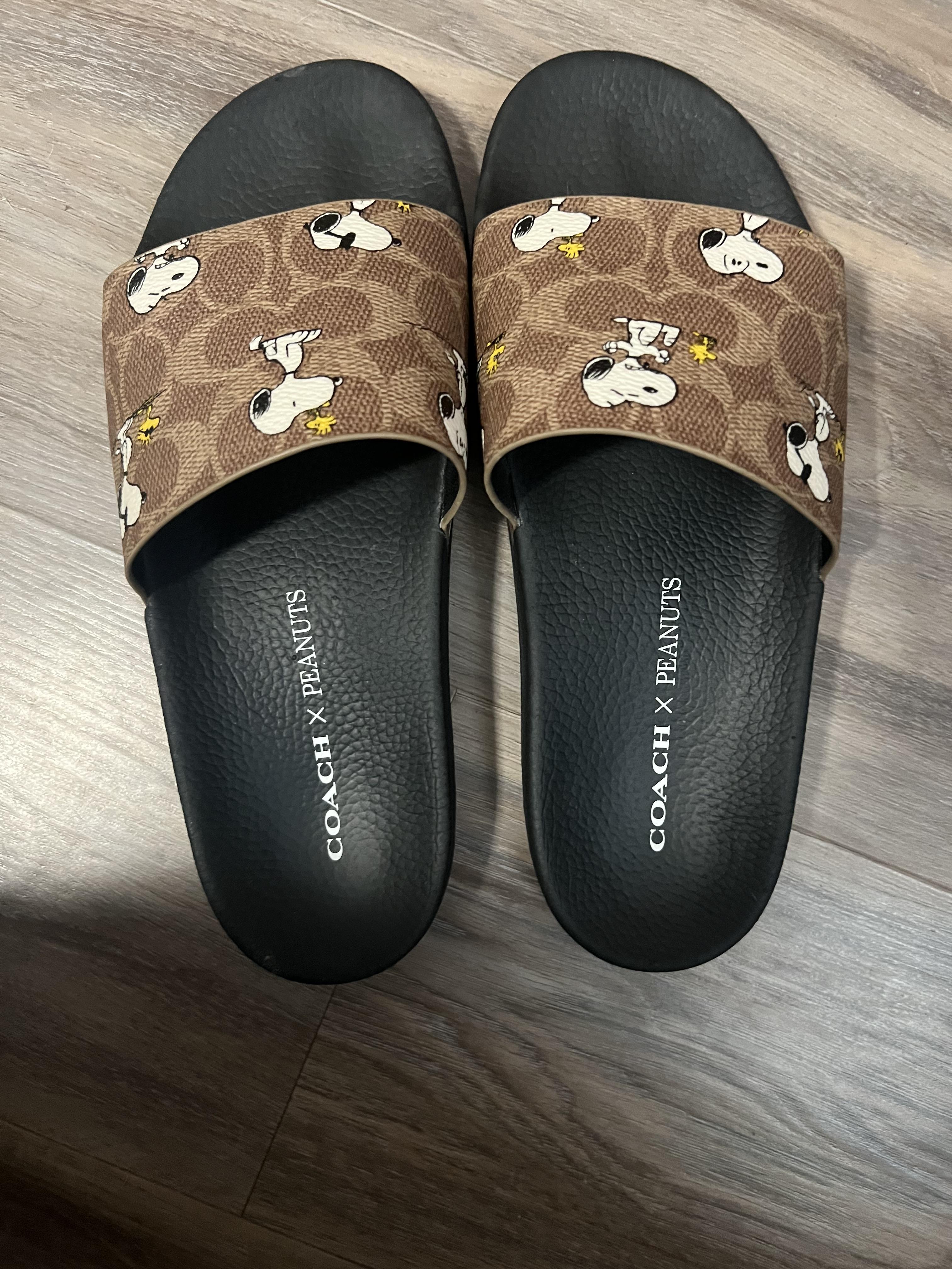 Coach X Peanuts Pool Slide In Signature Canvas With Snoopy Print