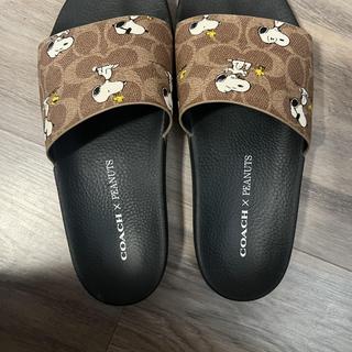 Slide In Signature Canvas | COACH®