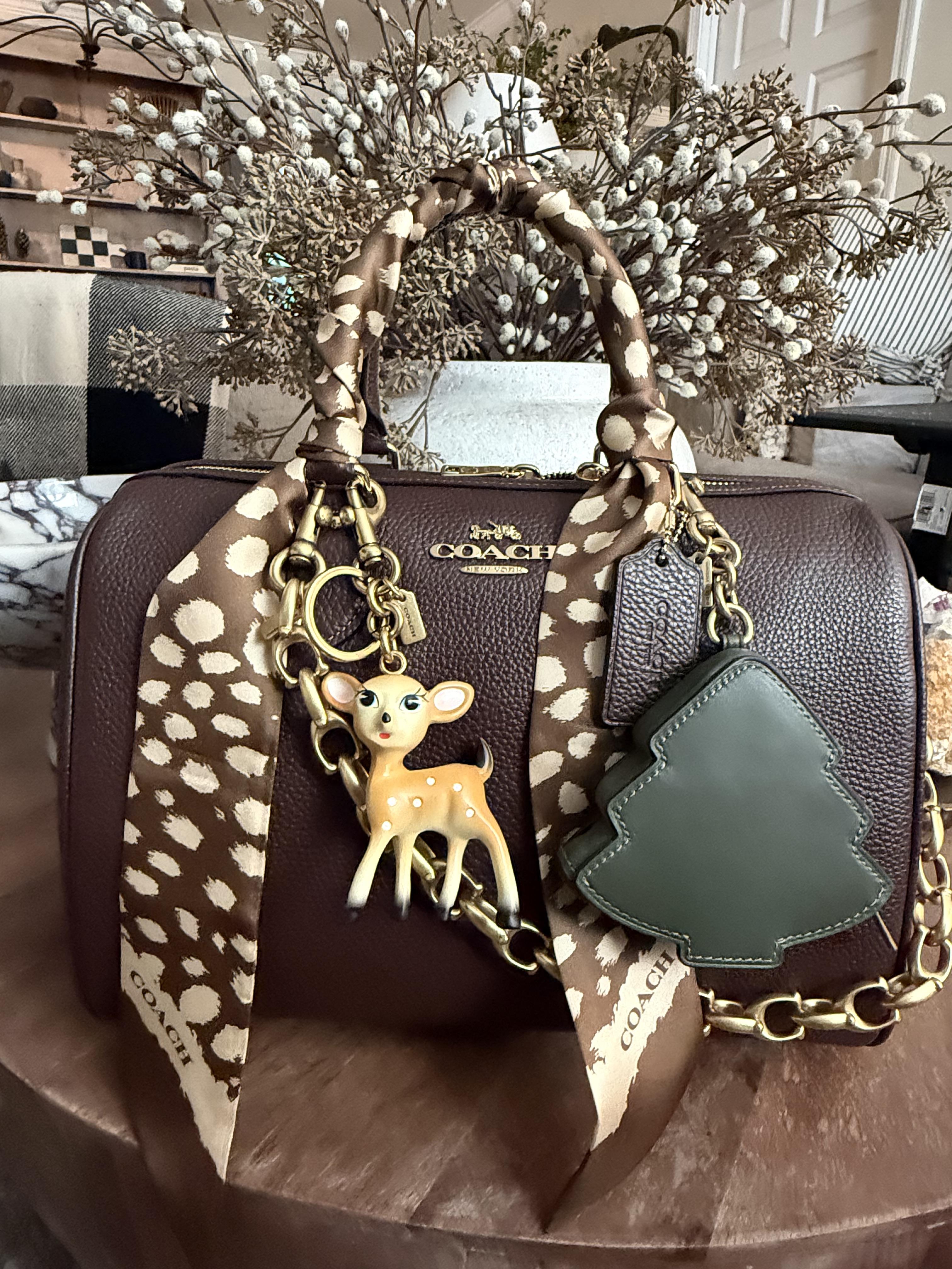 COACH Logo Acrylic Tag Charm Y2K 5本 CM Coach Acrylic Key Chains