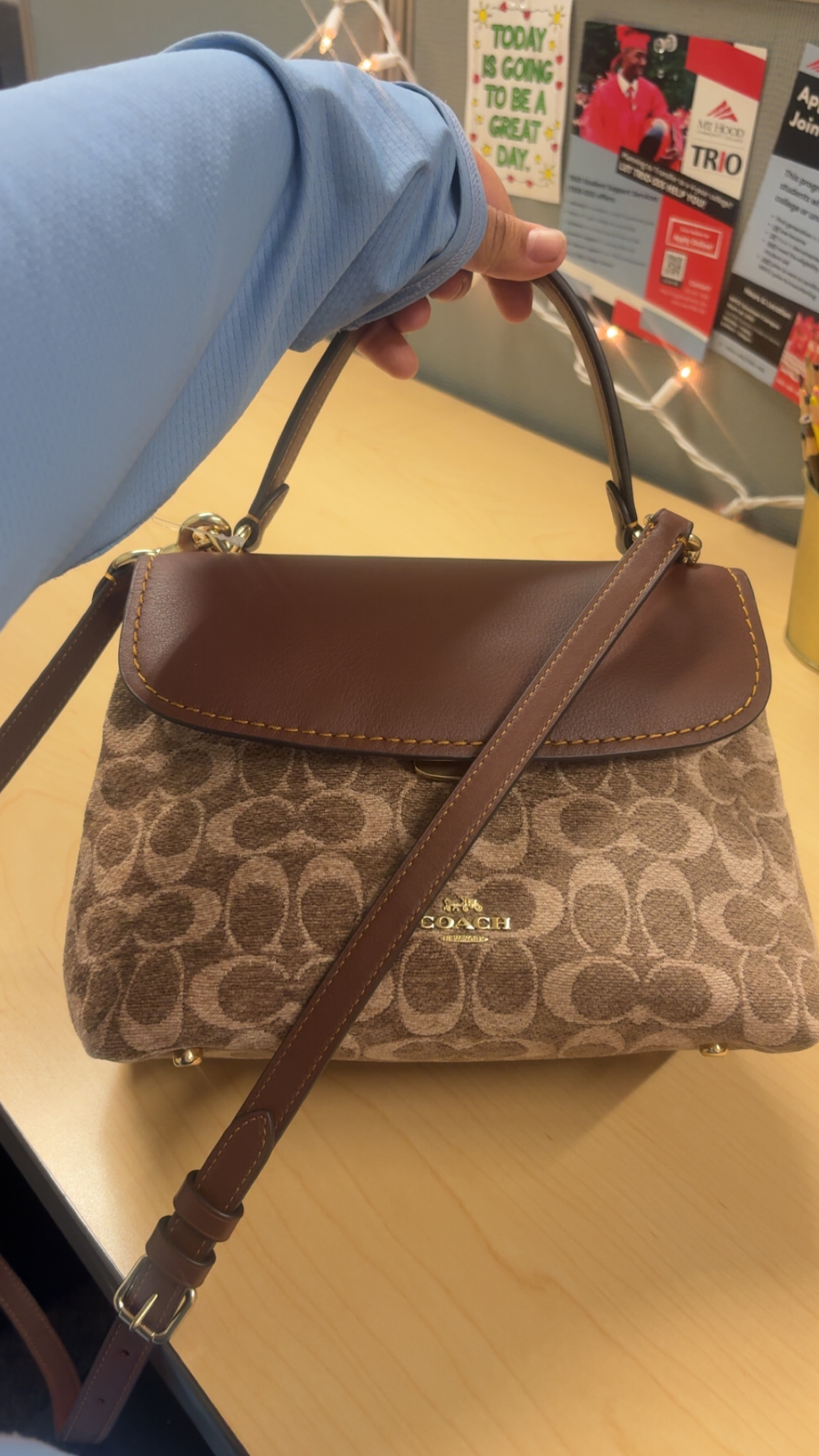 Emory Top Handle Bag In Signature Chenille | COACH®