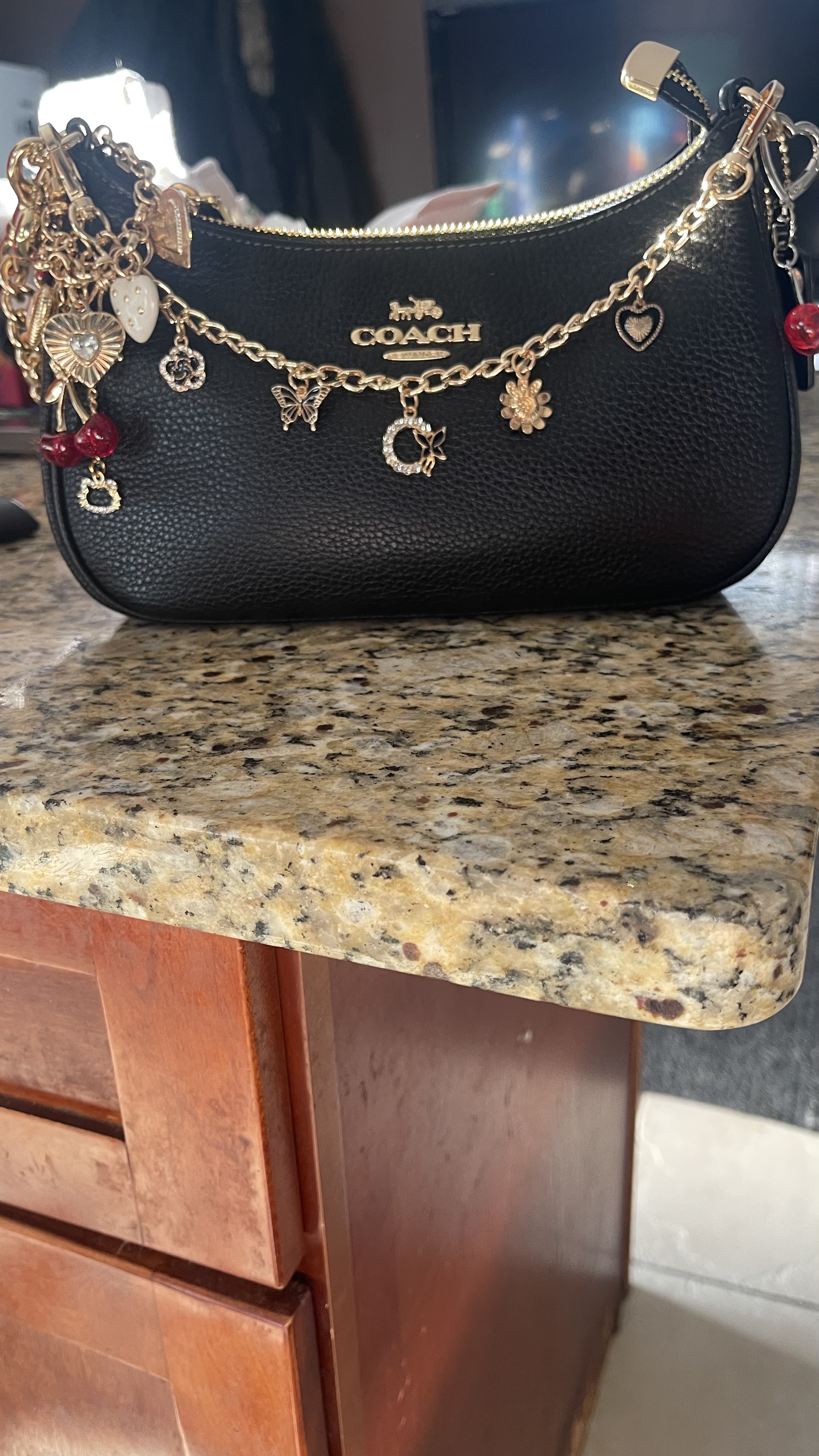 Teri Shoulder Bag With Quilting | Bags | Coach | COACH®