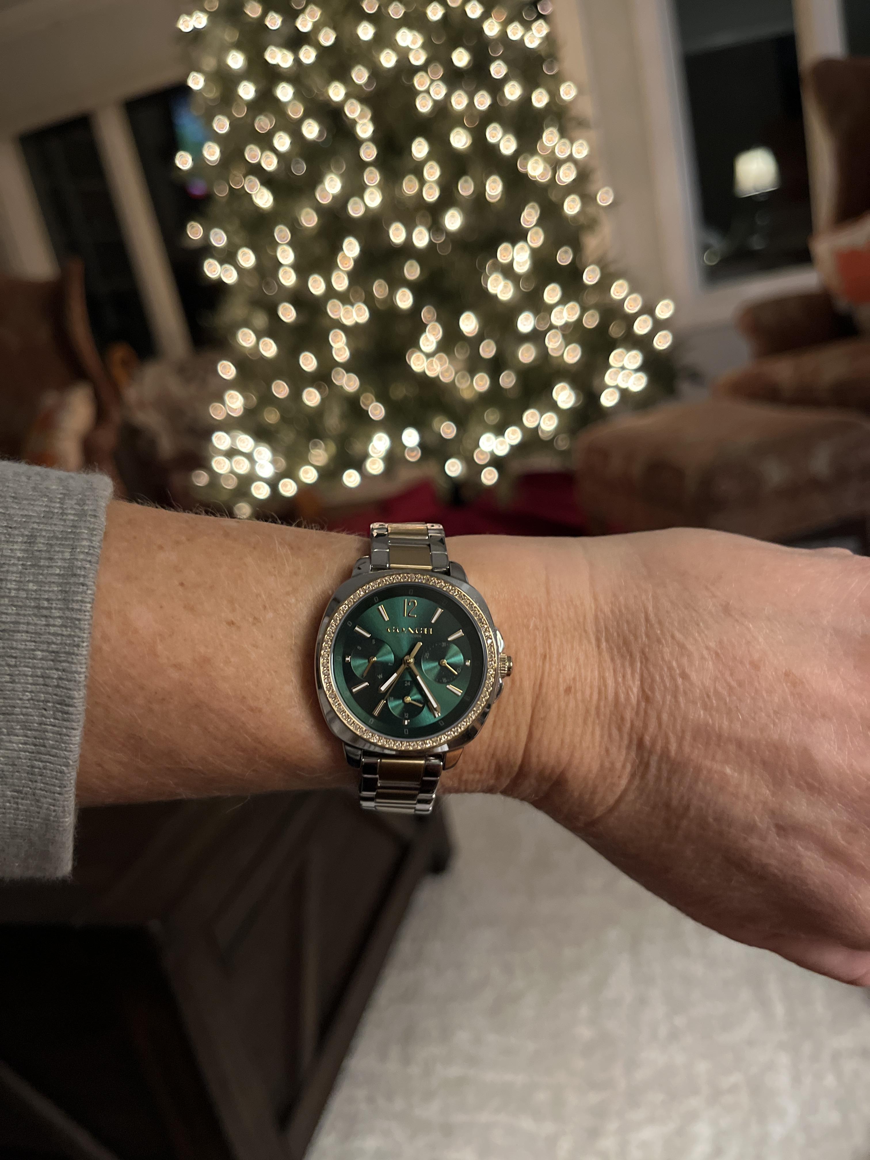 COACH® | Kitt Chronograph Watch, 34 Mm