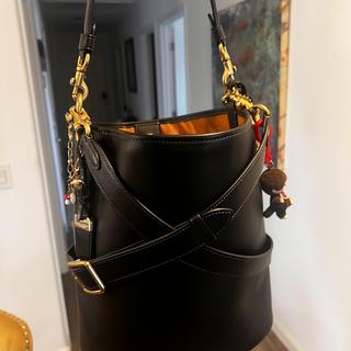 Restored Turnlock Tie Whip Dakotah Crossbody | Bags | Coach | COACH®