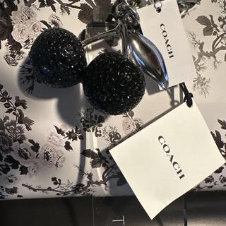 Crystal Cherry Bag Charm | Accessories | Coach | COACH®