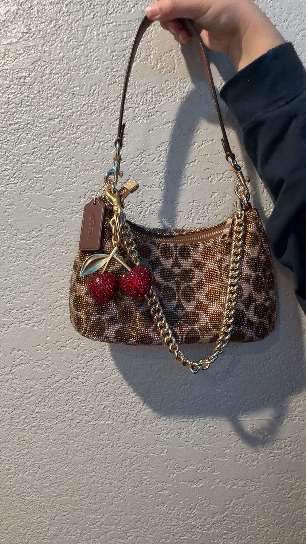 Teri Shoulder Bag In Signature Beaded Satin | Bags | Coach | COACH®