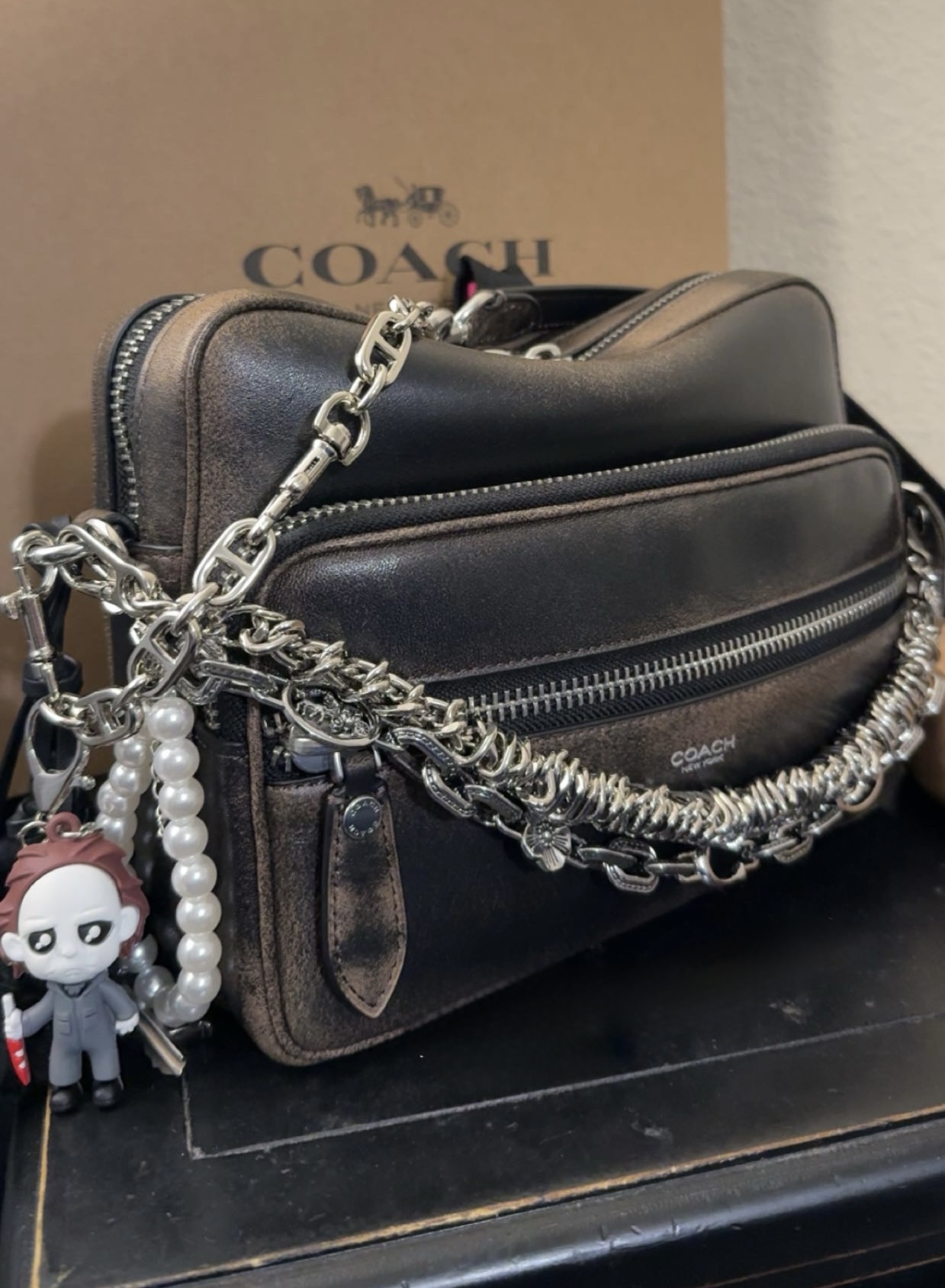 【希少】コーチ COACH LOVE ME TENDER Dakota Crossbody Bag In Loved Leather With Charms | Bags | Coach