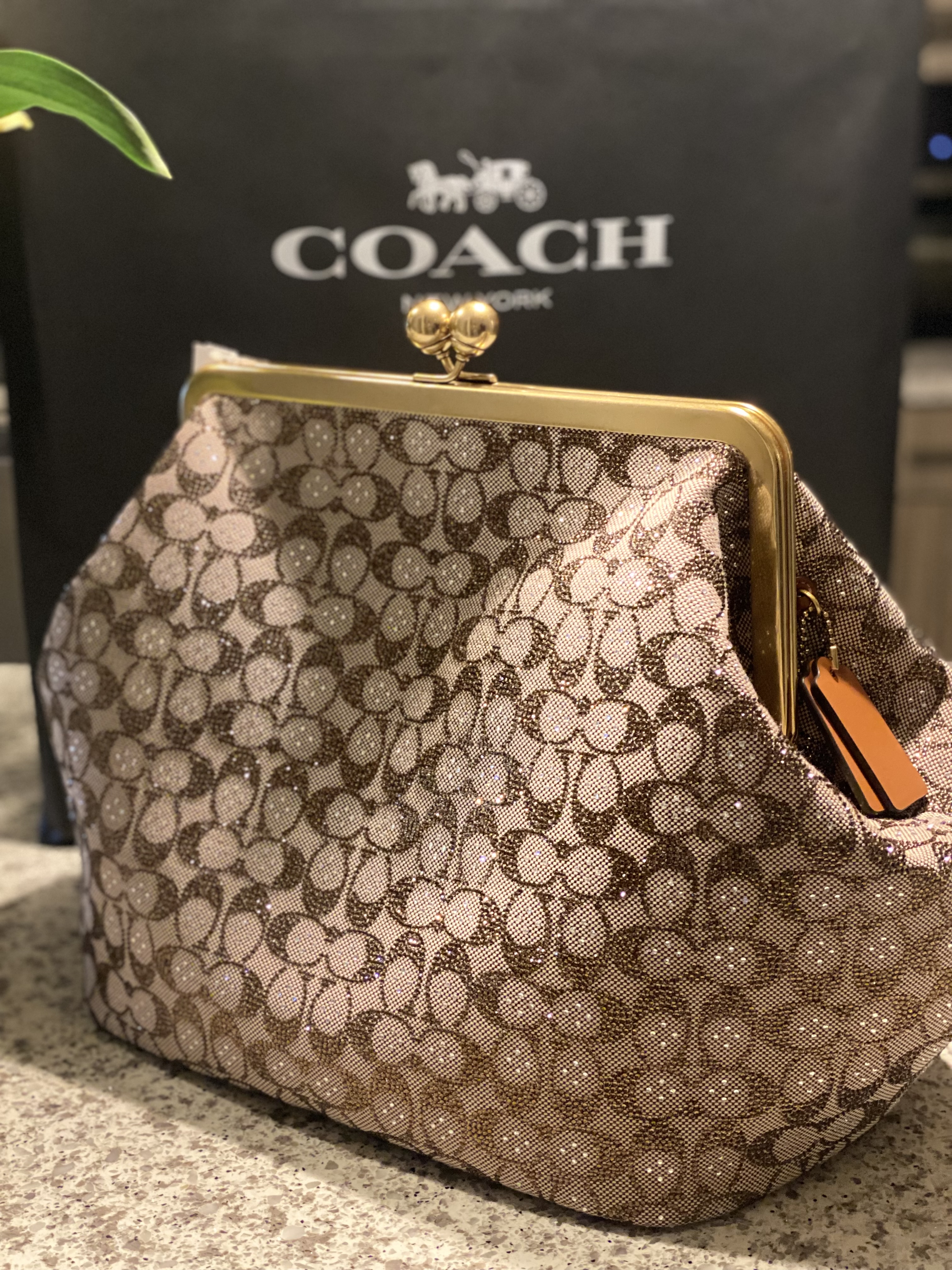 ◎美品◎ COACH スパンコール kisslock パーティバッグ シルバー coach Large Kisslock Signature Crystal Jacquard. #coach