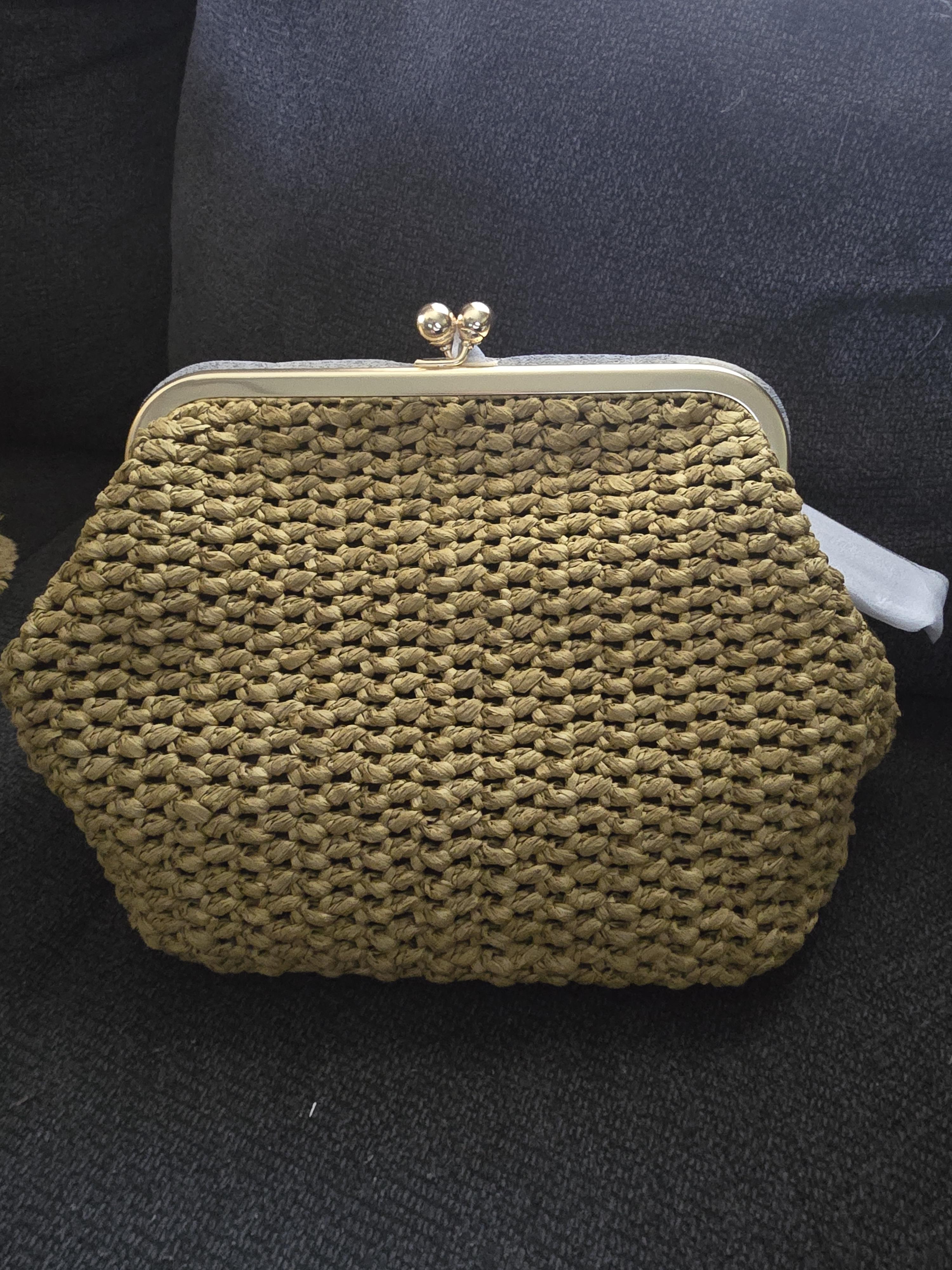 Kisslock Frame Bag 27 | COACH®