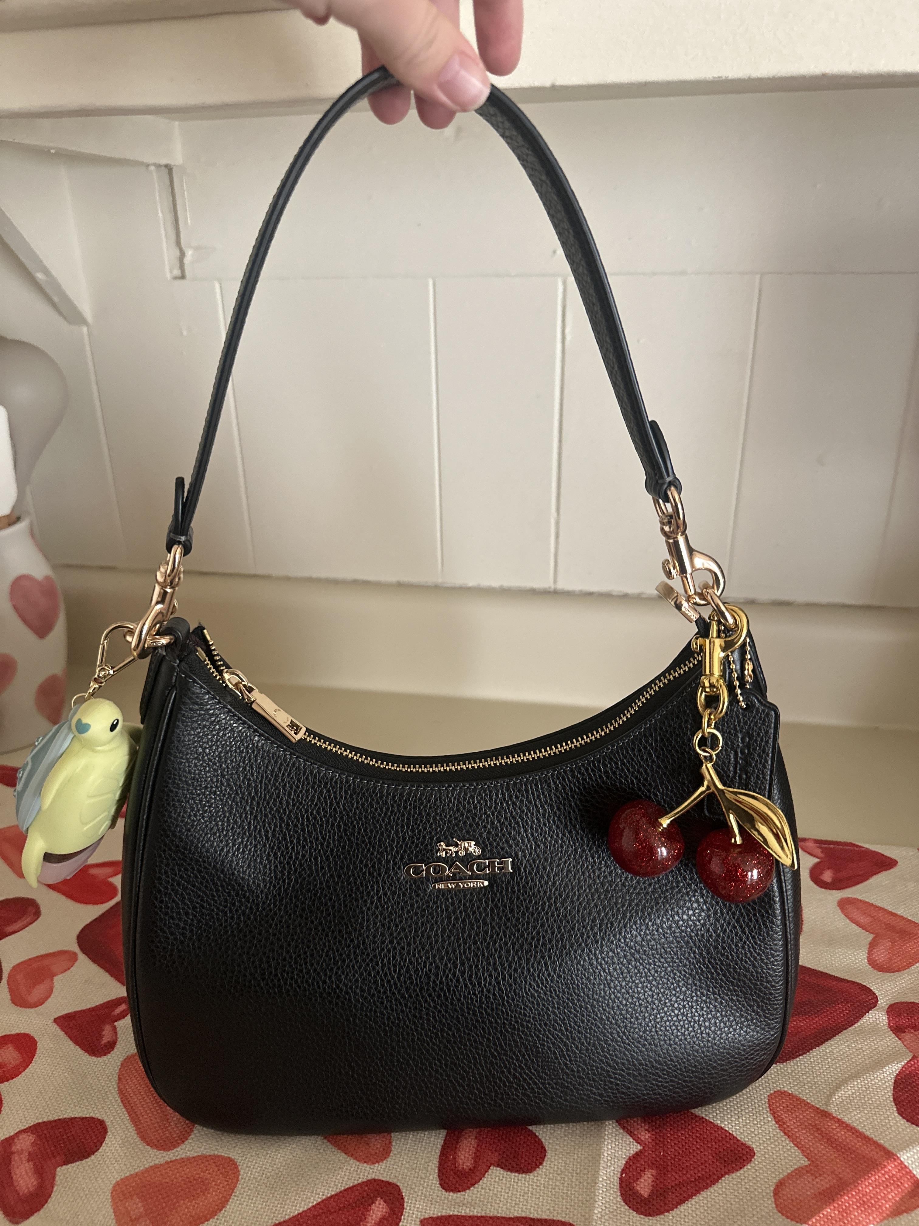 Teri Hobo Bag In Signature Canvas With Stripe | COACH® Teri Hobo Bag In Signature Canvas With Stripe | COACH®