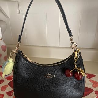 Teri Hobo Bag | Bags | Coach | COACH®