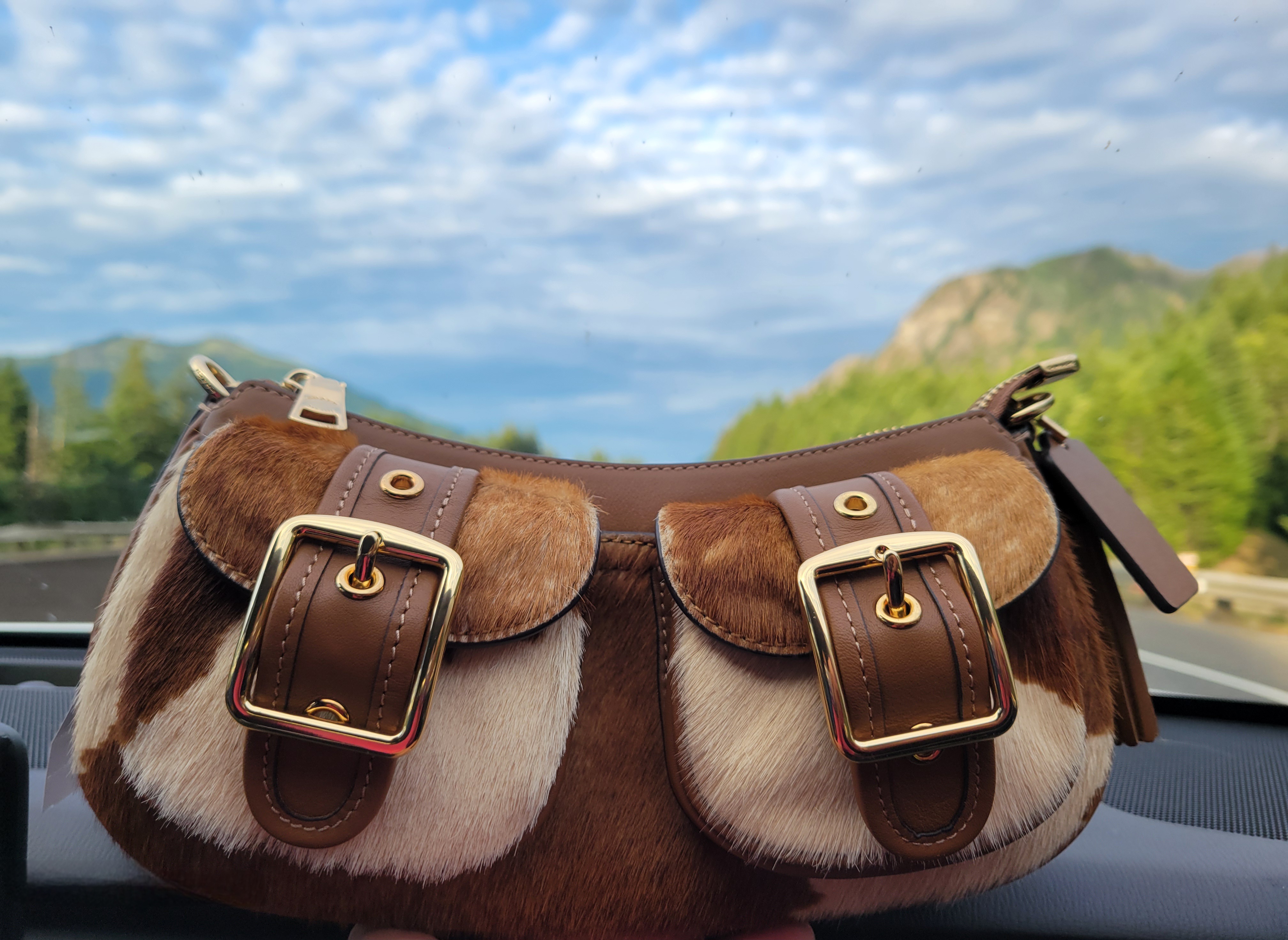 Ashton Bag | Bags | Coach | COACH®