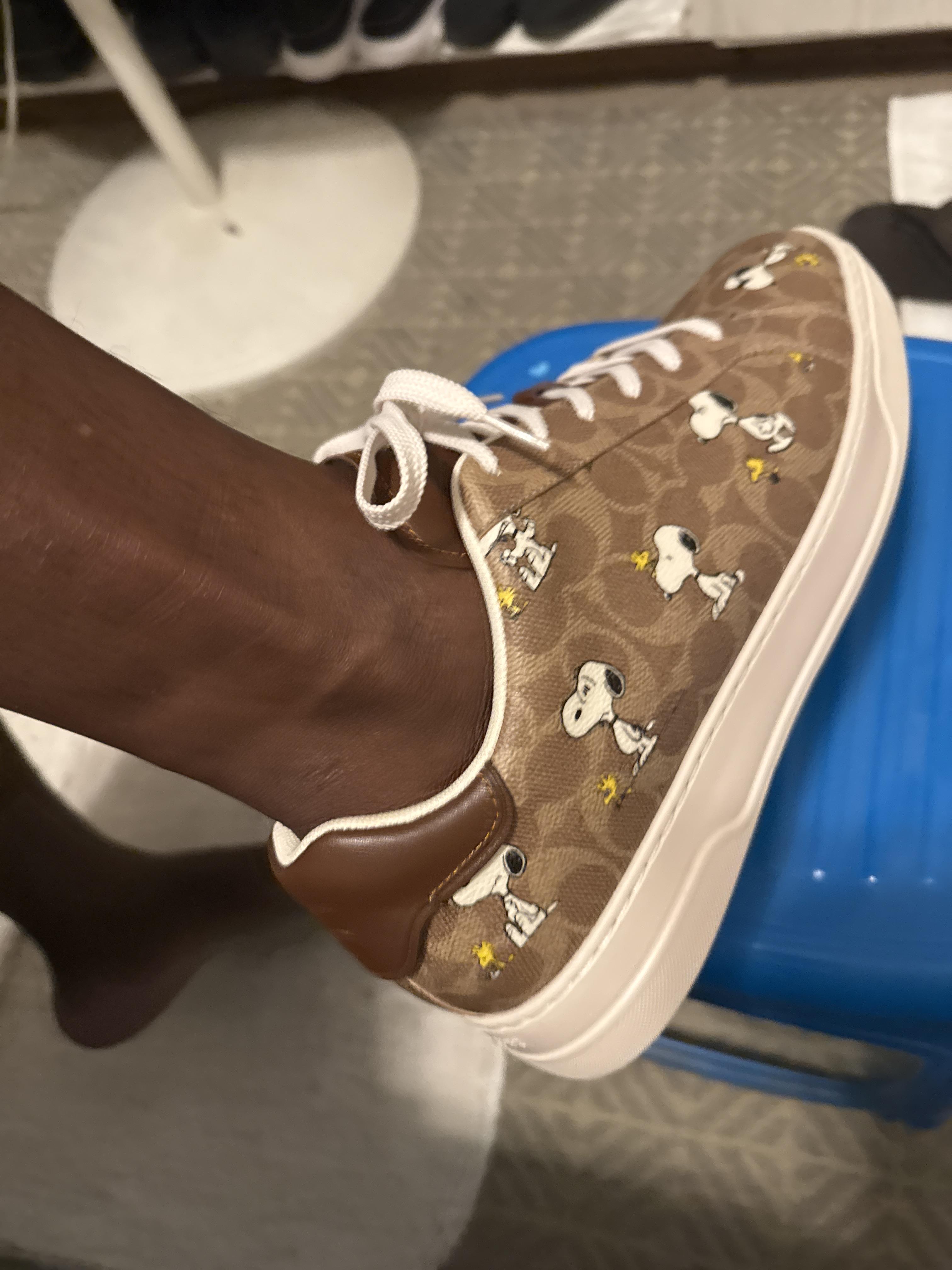 Coach X Peanuts High Line Sneaker In Signature Canvas With Snoopy