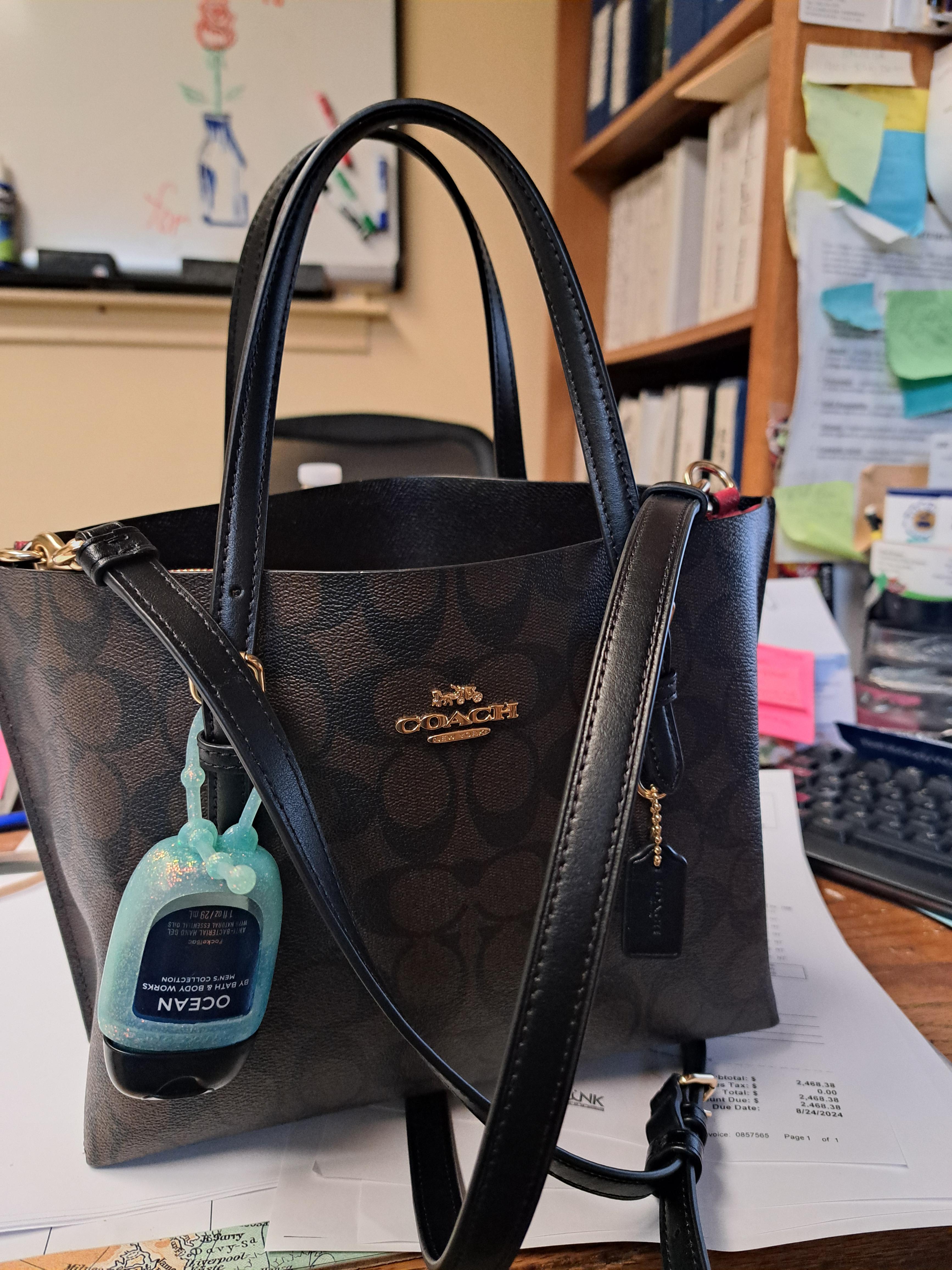 Mollie Tote Bag 25 | Bags | Coach | COACH®