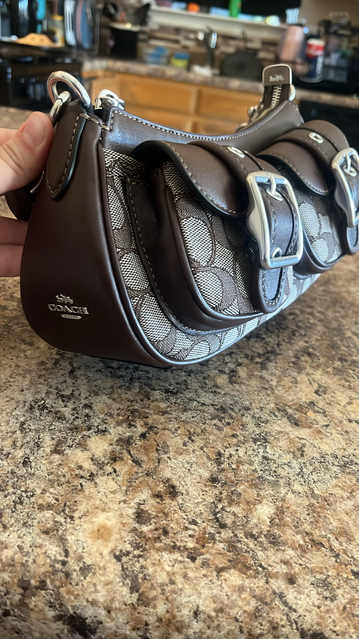 Ashton Bag | Bags | Coach | COACH®