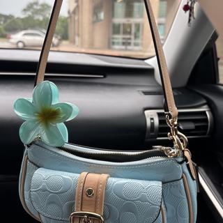 Ashton Mini Shoulder Bag In Signature Jacquard | Bags | Coach | COACH®