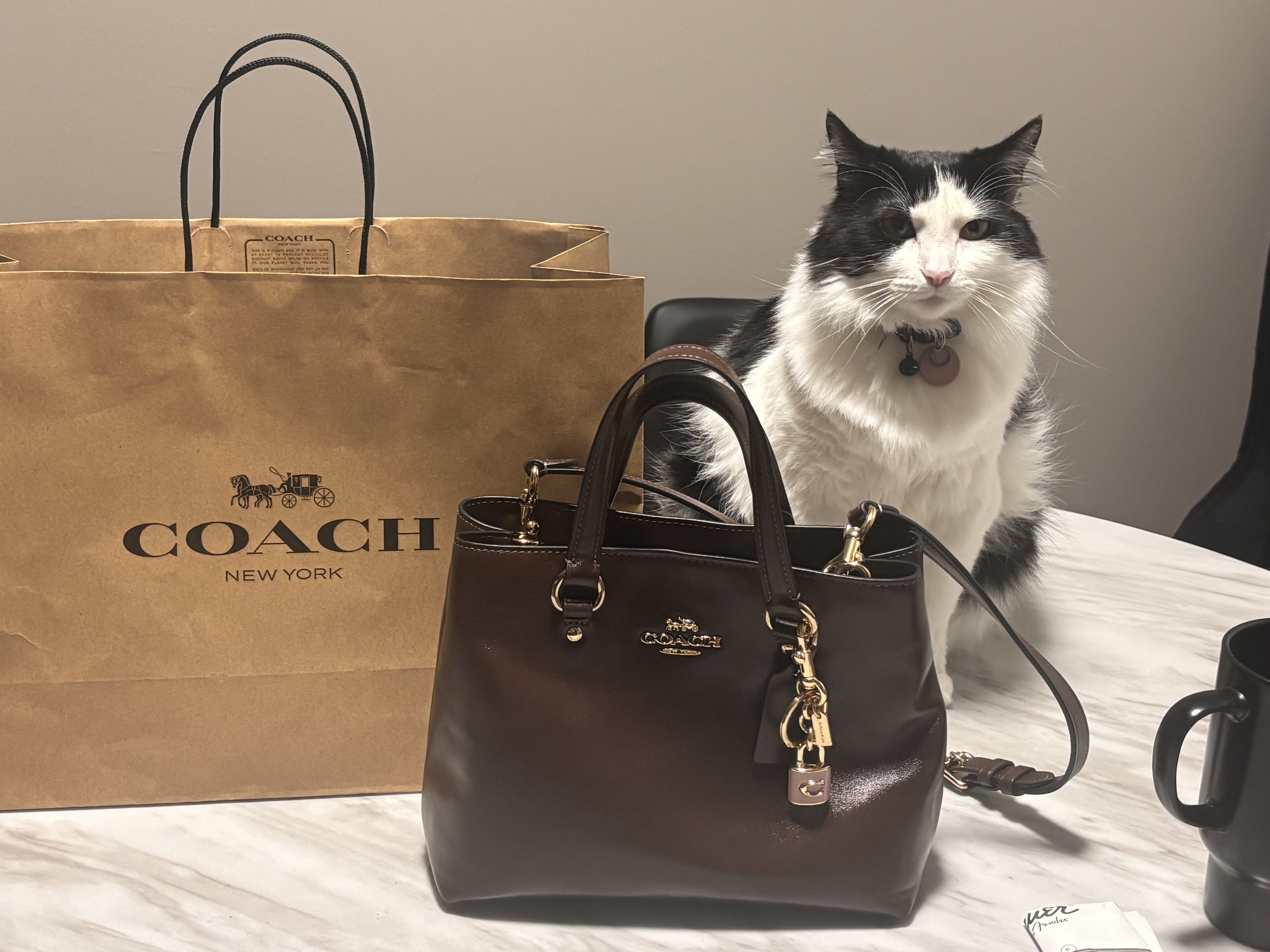 Station Carryall Bag In Signature Canvas | Bags | Coach | COACH®