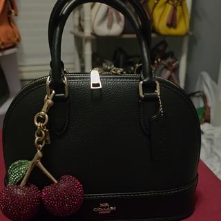 Large Crystal Cherry Bag Charm | Accessories | Coach | COACH®
